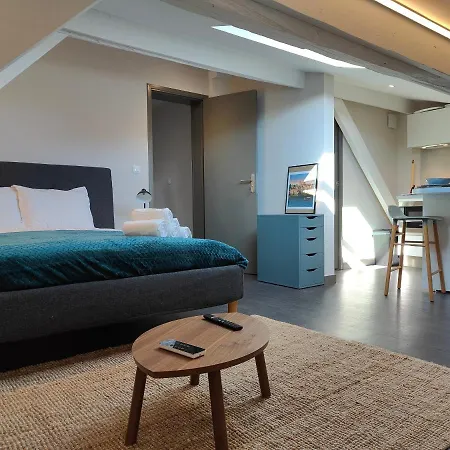 L'envolee - Fibre - Clim - Centre-ville * 알비