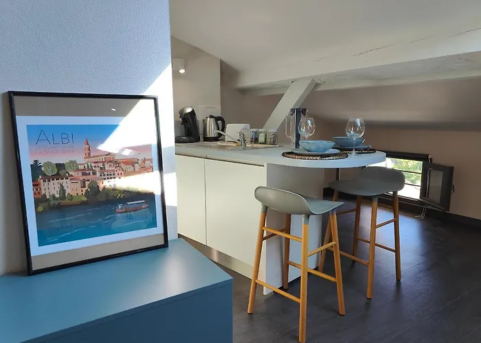 L'envolee - Fibre - Clim - Centre-ville * アルビ