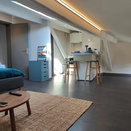 Lejlighed L'envolee - Fibre - Clim - Centre-ville Albi